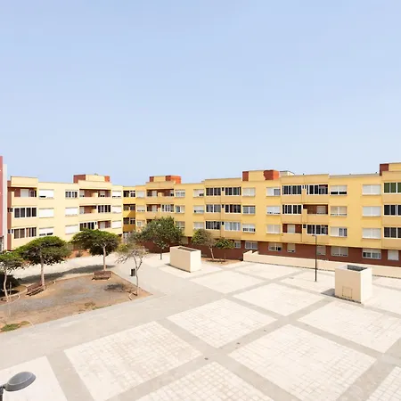 Live Medano Mirazul 엘메다노