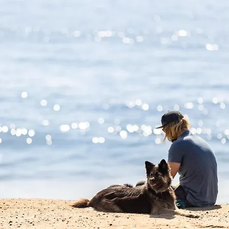 Live Medano Mirazul 아파트